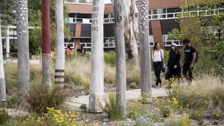 news thumbnail image